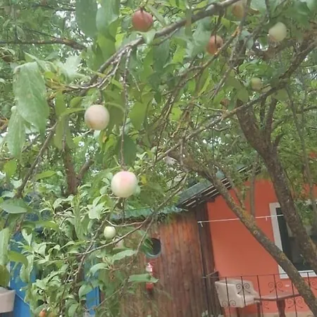 Likya Saklibahce Hotel