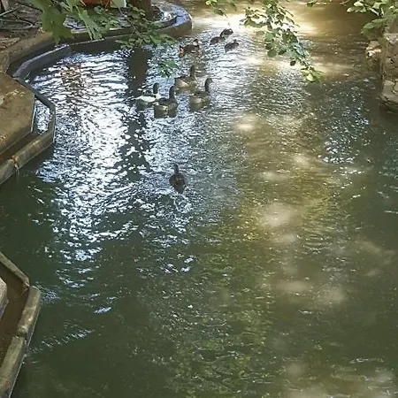 Likya Saklibahce Kemer (Menekse Mahallesi)