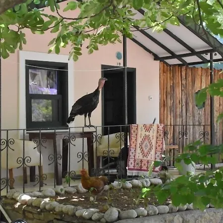 Hotel Likya Saklibahce Kemer (Menekse Mahallesi)