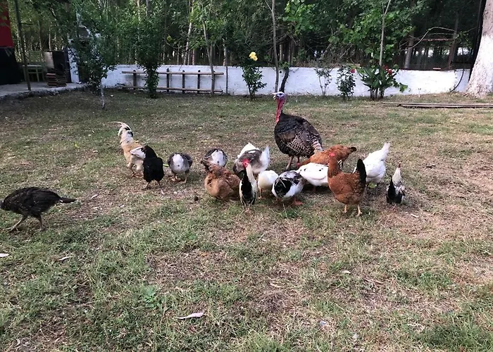 Otel Lıkya Saklibahçe *