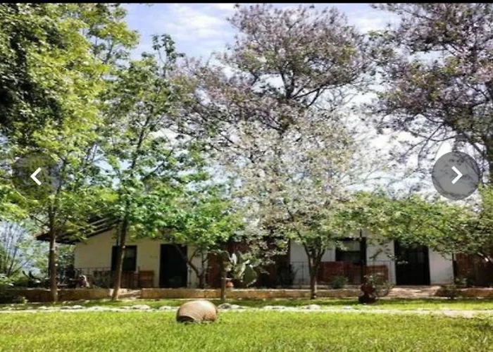 Lıkya Saklibahçe * Kemer (Menekse Mahallesi)