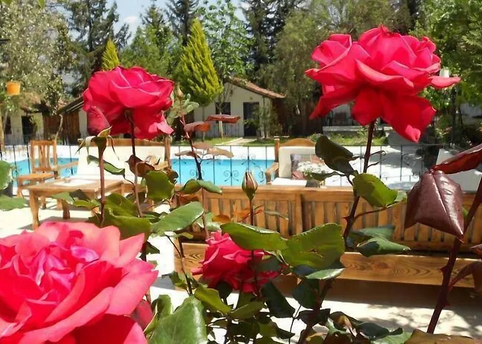 Lıkya Saklibahçe * Kemer (Menekse Mahallesi)