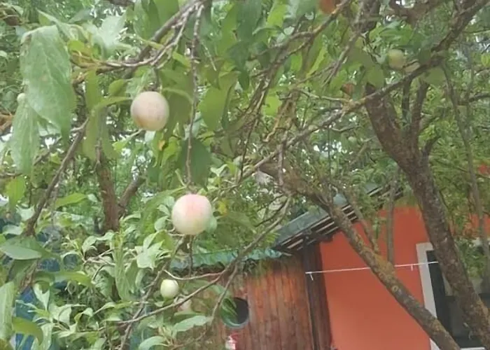 Lıkya Saklibahçe Otel